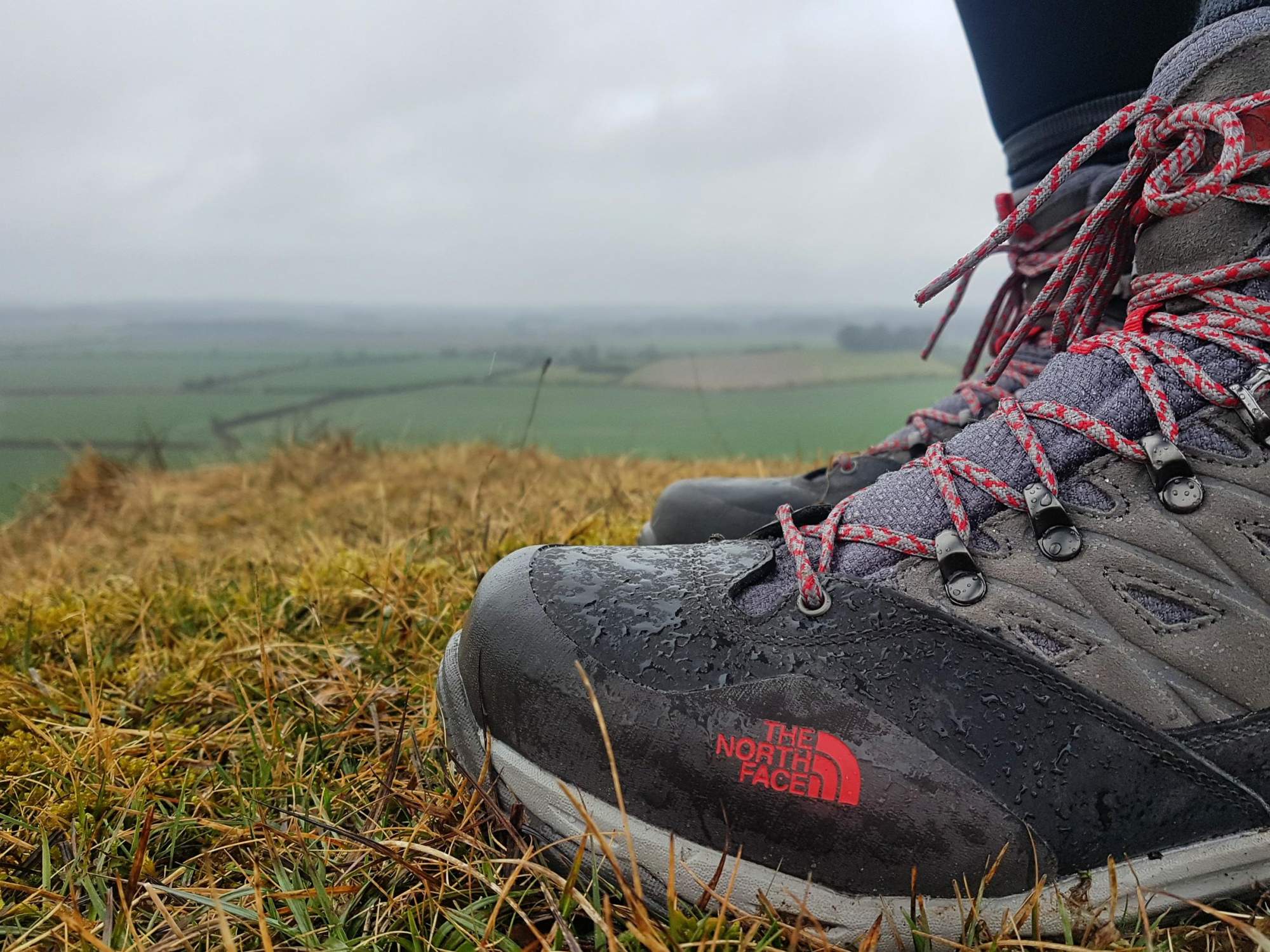 North face hedgehog trek gtx online