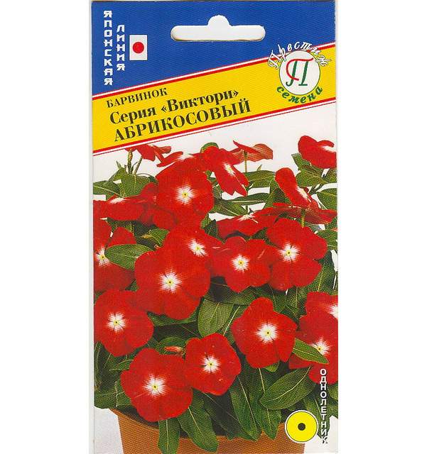 Барвинок Семена Купить В Москве