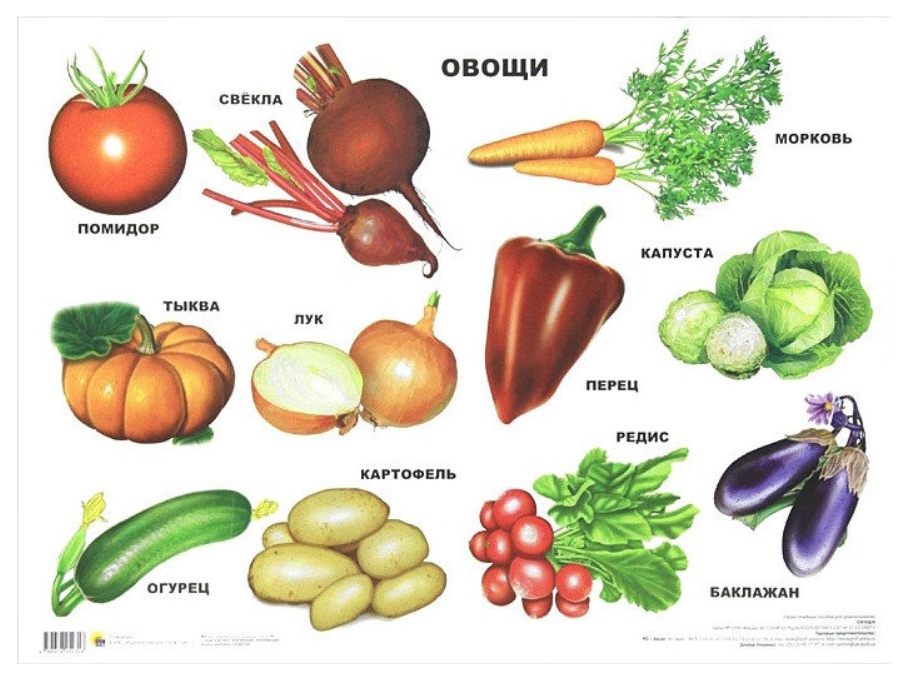 Овощи картинки для детей с названиями