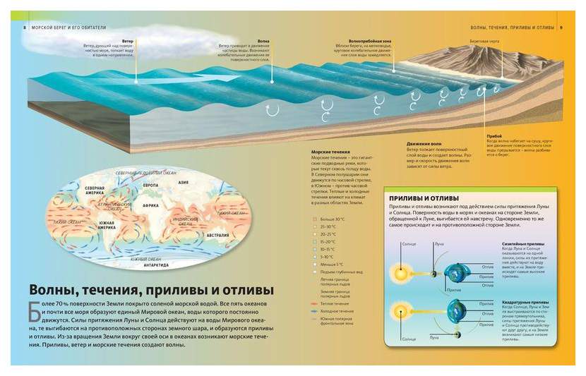 Манга приливная волна славы. Приливные течения. Приливная волна. Волны течения.приливы отливы. Приливно-отливные течения.