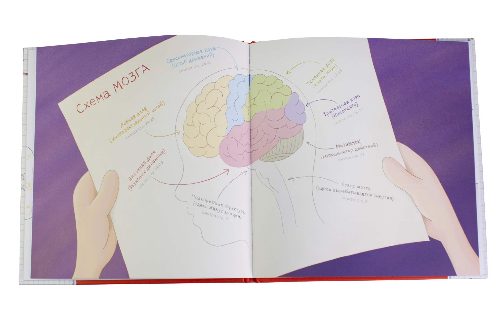Книги мозг детей