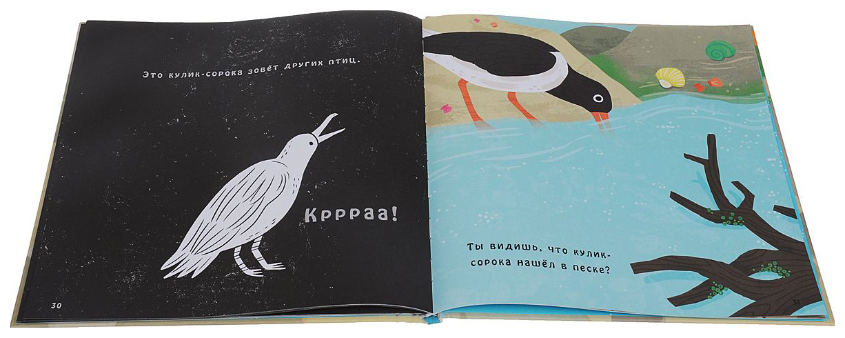 Книга что скрывает морской берег.