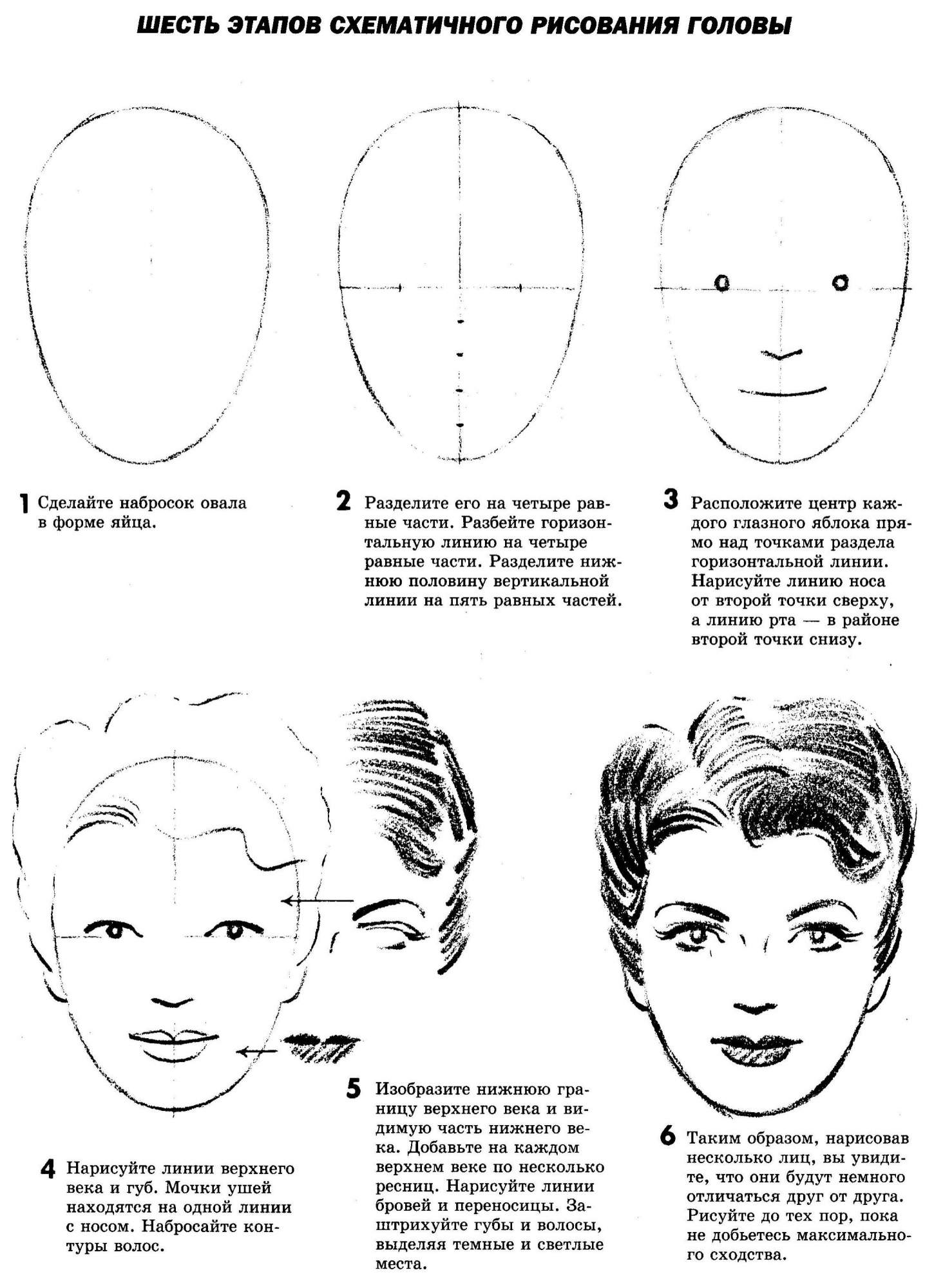 Этапы рисования лица и головы