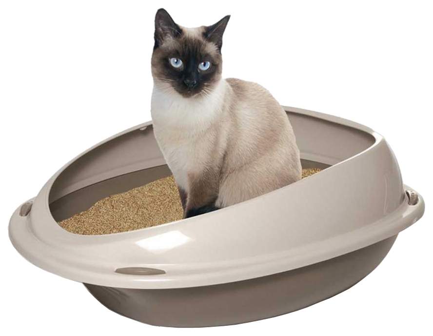 Лоток для кошек Georplast SHUTTLE с высоким бортом, в ассортименте, 45 х 36 х 15,5 см