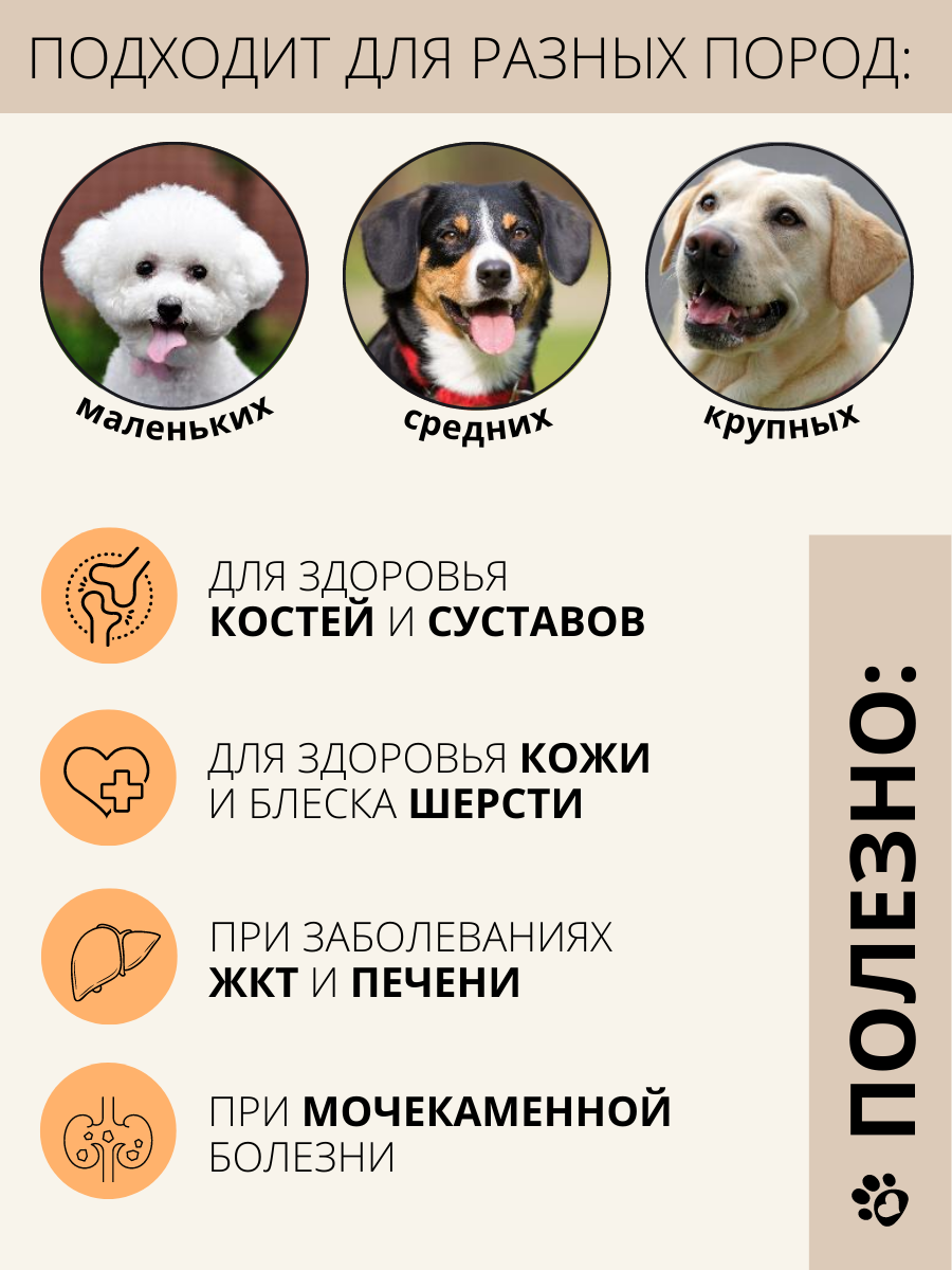 Можно ли давать собакам крупы