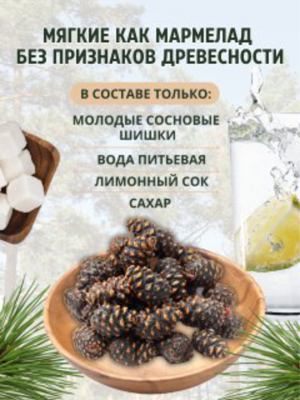 Цукаты из сосновых шишек Правильные травы натуральные, мягкие, 200 г –  купить в Москве, цены в интернет-магазинах на Мегамаркет