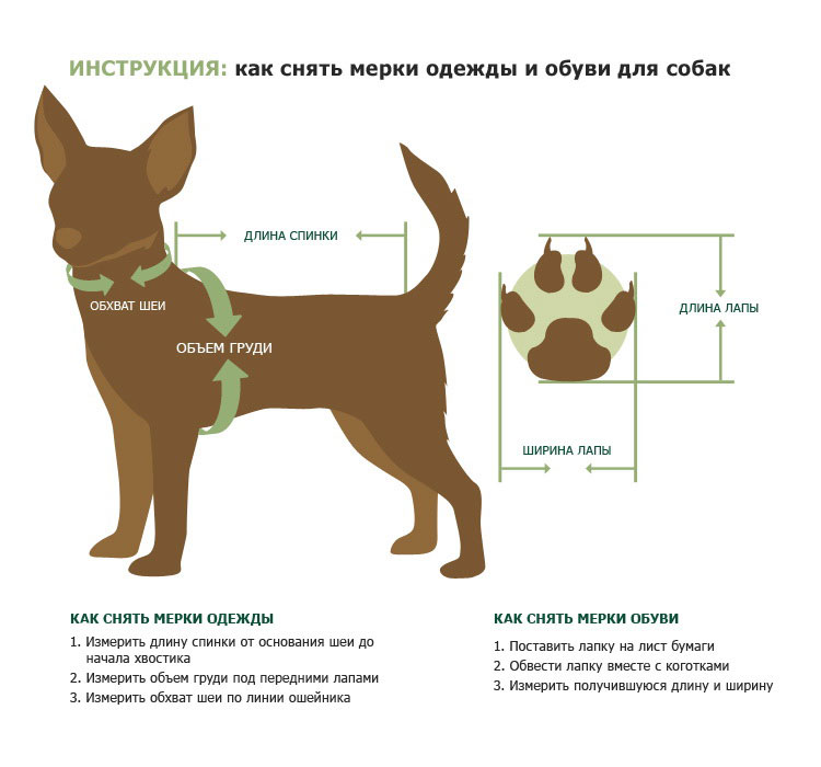 Куртка для собак FOR MY DOGS, унисекс, черная, FW807-2019 B1