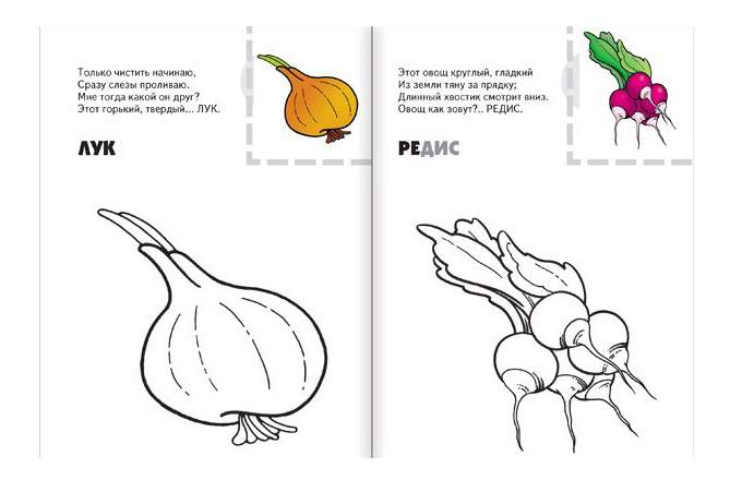 Загадка про редис для детей. Редис стихи для детей. Загадка редис. Стих про редис. Редис стихи для детей.