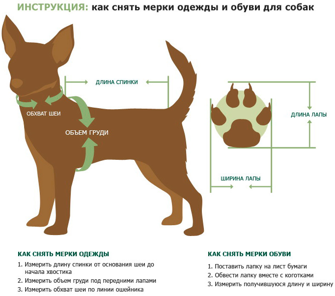 Костюм для собак FOR MY DOGS, унисекс, коричневый, FW816-2019 10