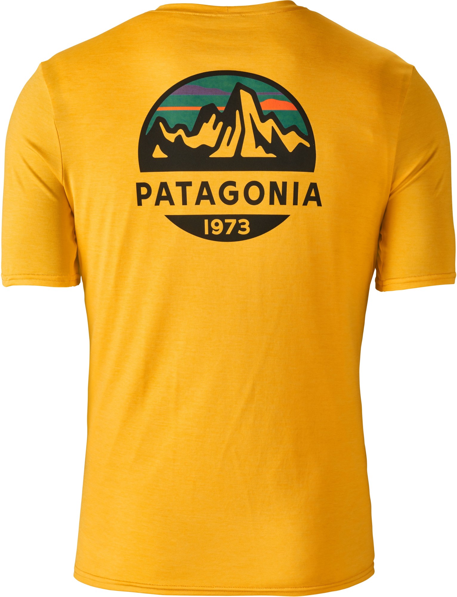 patagonia 1973 t shirt