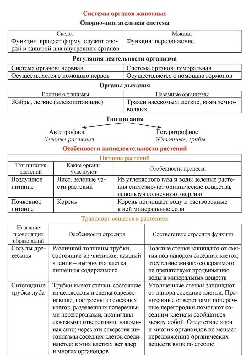 Мебельные термины и понятия