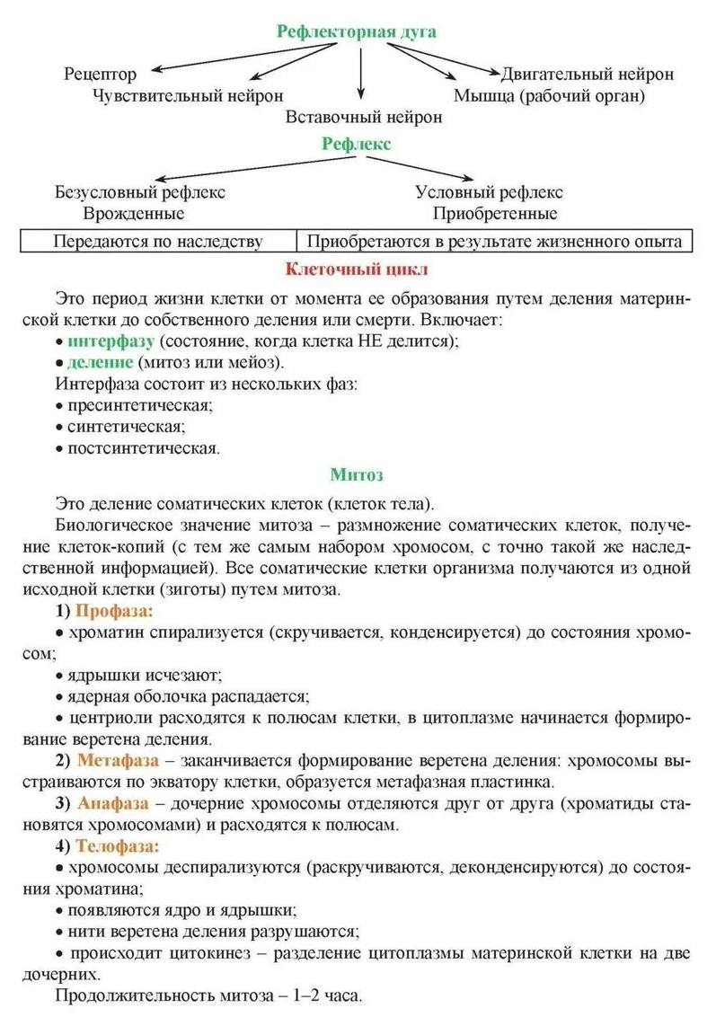 Книга для учителя Биология 5-7 кл. Основ. термины, понятия и определ.  комплект из 4 карт - купить дидактического материала, практикума в  интернет-магазинах, цены на Мегамаркет | НБУ-18