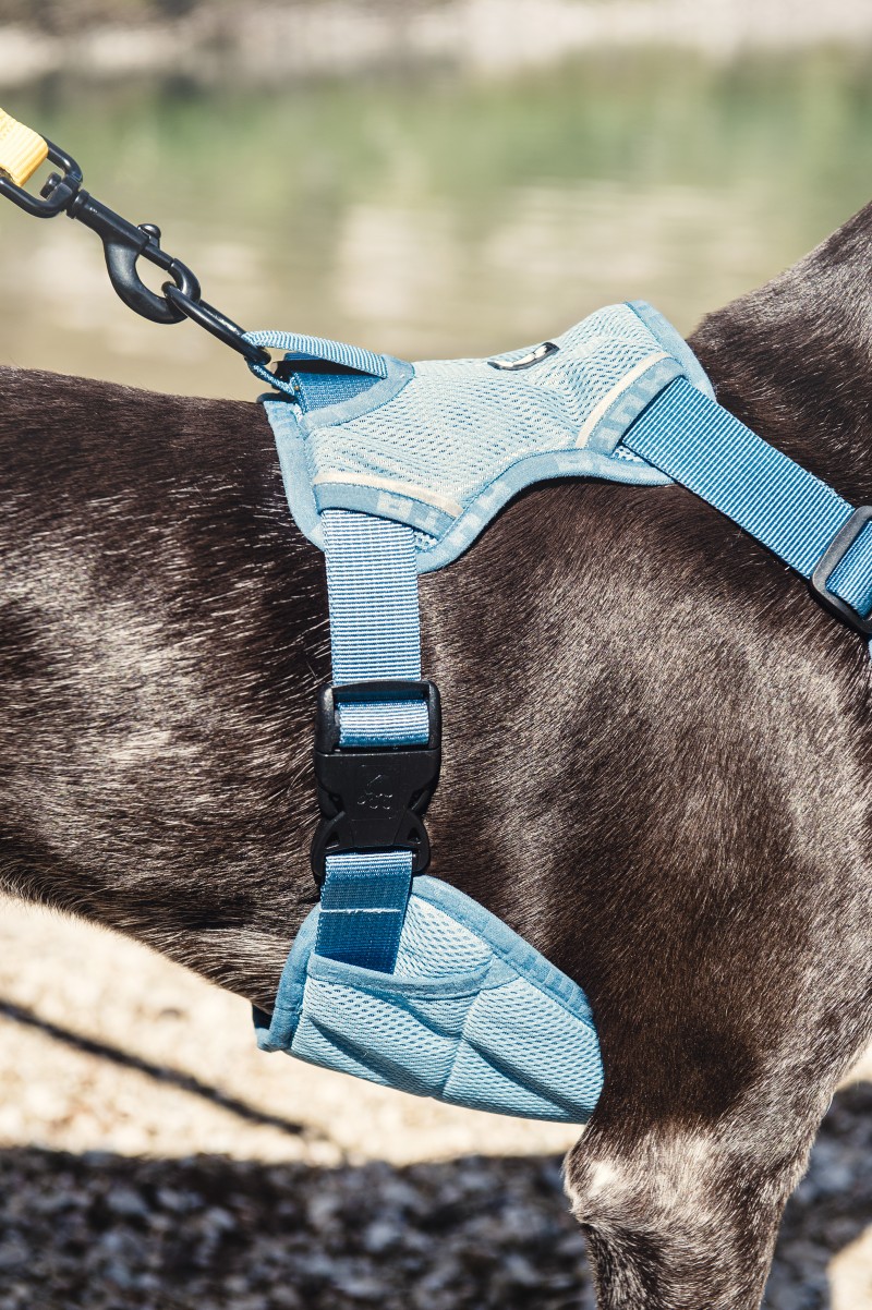 Hurtta cheap cooling harness