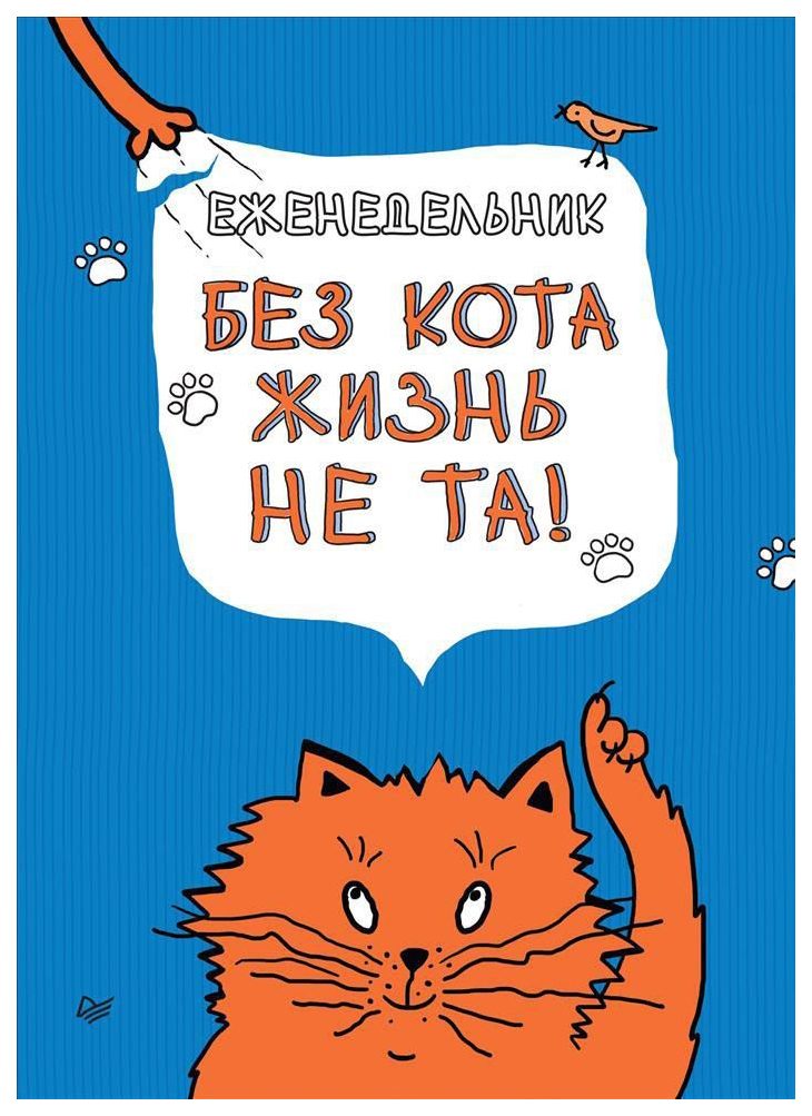 Учусь жизни у кота