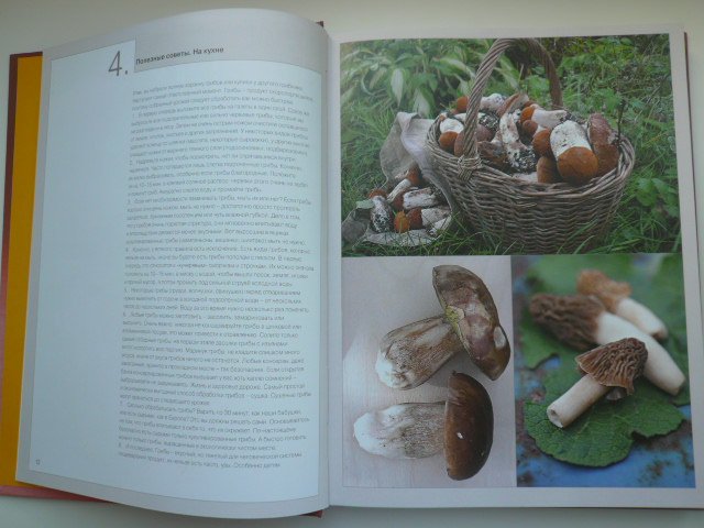 Где Купить Книги Про Грибы