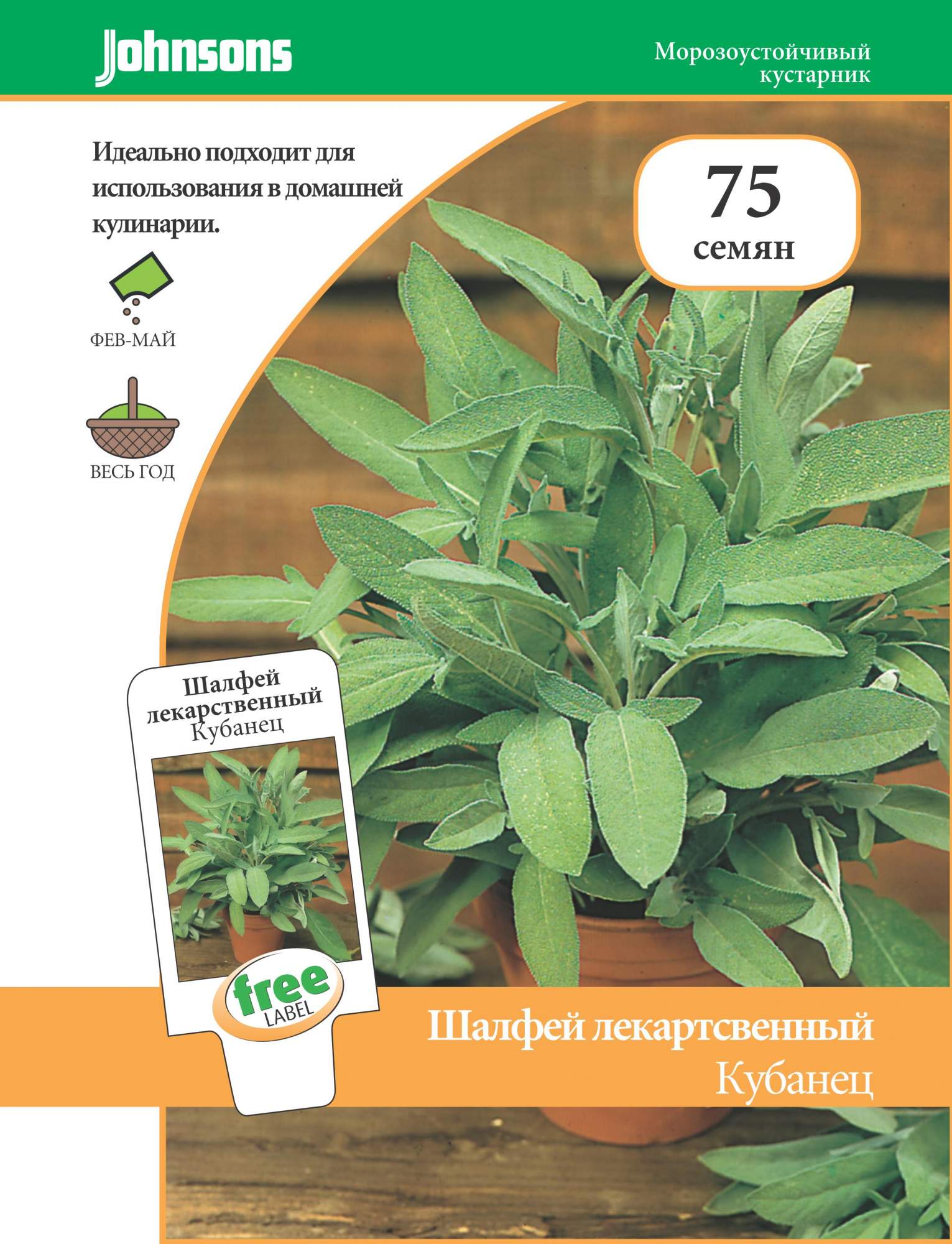 шалфей лекарственный кубанец гавриш. шалфей многолетний семена. шалфей дубравный белый семена. шалфей лекарственный кубанец гавриш. шалфей лекарственный престиж.