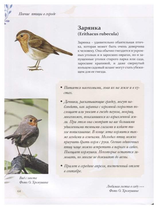 Книга певчие птицы. Штястный, к. Певчие птицы книга. Аксенова. Книга певчие птицы.
