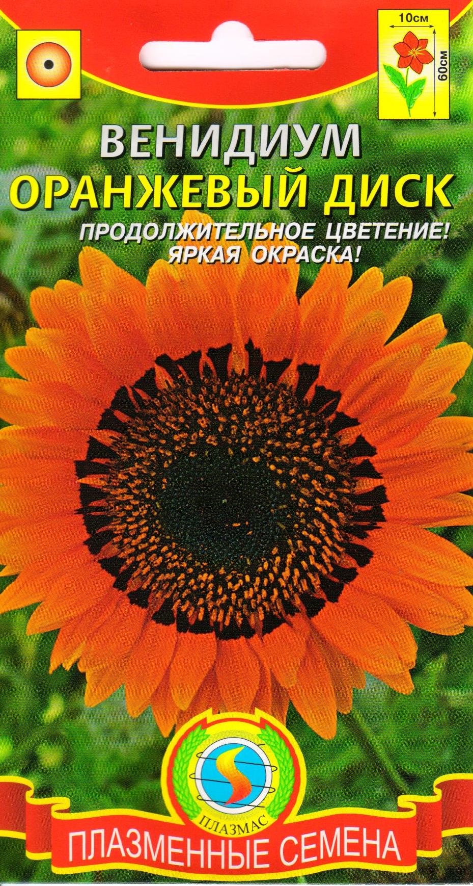 цветок венидиум фото посадка