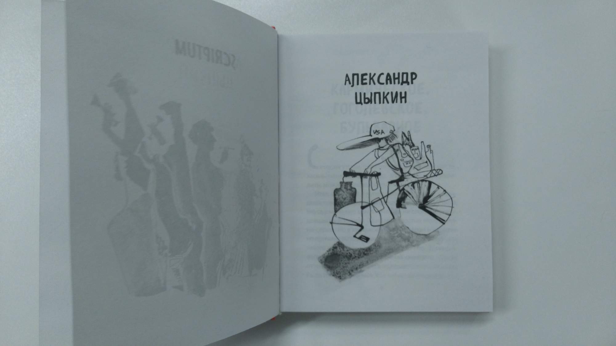 Не скажу цыпкина. Шмуцтитулы иллюстрации. Иллюстрация на титуле и шмуцтитулах. Шмуцтитул книги рисунок. Шмуцтитул рисунок легкий.