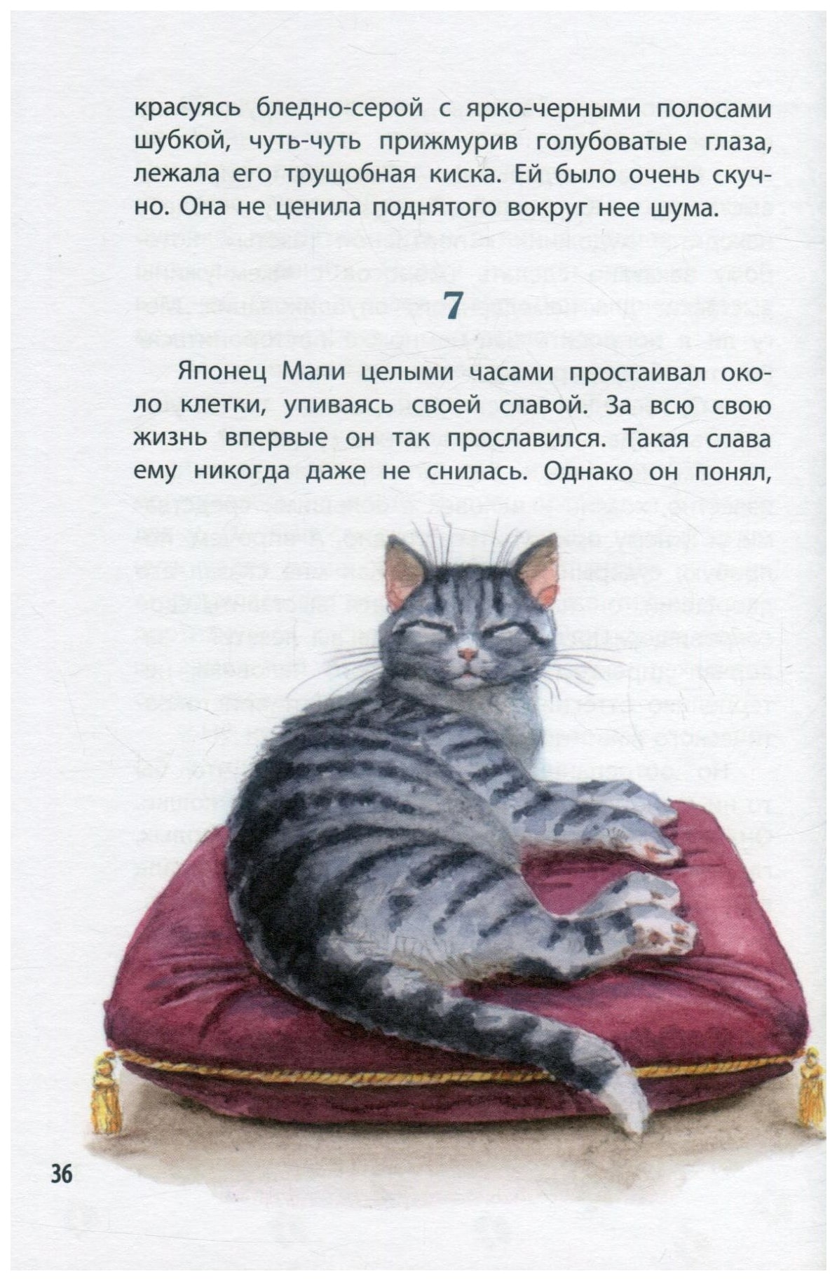 Книга королевская аналостанка. Королевская Аналостанка книга. Иллюстрации Сетона Томпсона к рассказу Королевская Аналостанка. Королевская Аналостанка кошка.