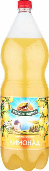 Купить лимонад Напитки из Черноголовки безалкогольный сильногазированный пластик 2 л, цены на Мегамаркет | Артикул: 100023688399