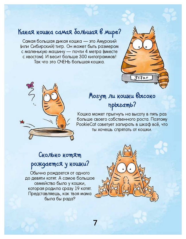 Кошка мурлычет почему