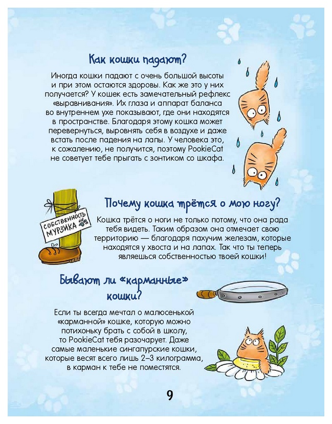 Кошка мурлычет почему