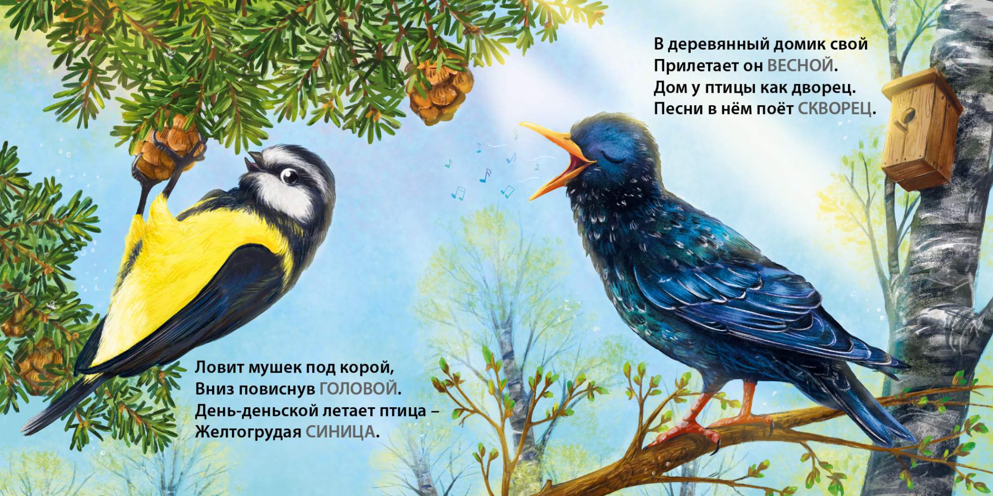 Загадки о птицах