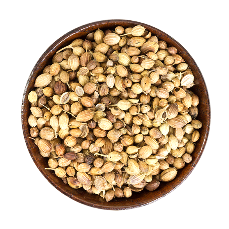 Кориандр это семена кинзы. Кориандр семена (кинза) 1 кг. Семена Кашнич. Кориандровое семя. Кориандр сорта