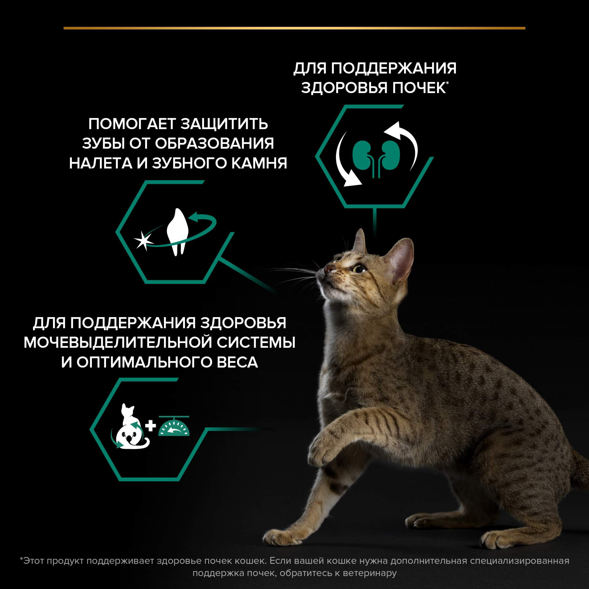 Купить сухой корм для кошек PRO PLAN Sterilised Optirenal, для  стерилизованных, лосось, 3кг, цены на Мегамаркет | Артикул: 100024869749