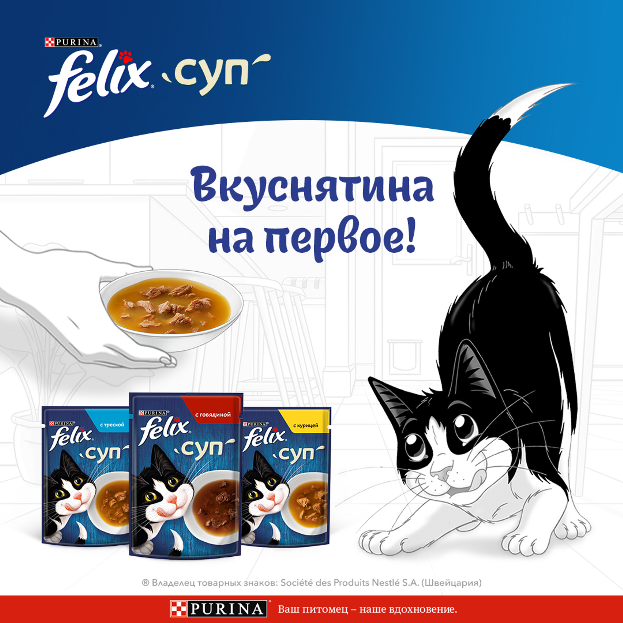 Влажный корм для кошек Felix Суп, для взрослых, курица, 48г - отзывы  покупателей на маркетплейсе Мегамаркет | Артикул товара:100024869755