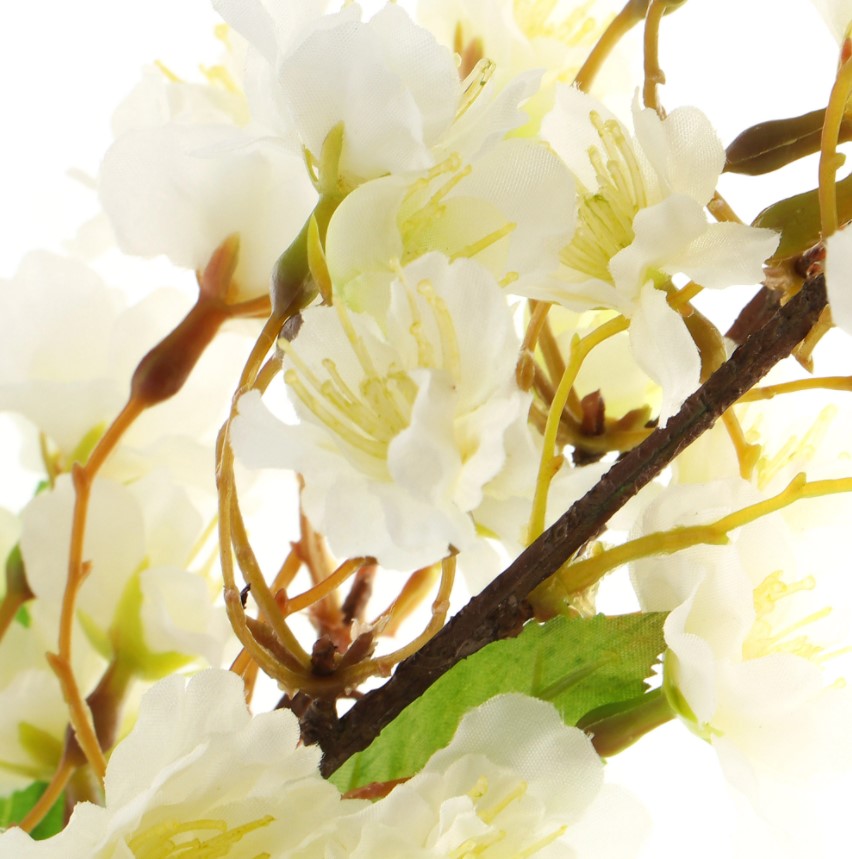 Белые цветы. Белые цветущие ветки. Ветка цветов. Весенние цветы. Ветка яблони.