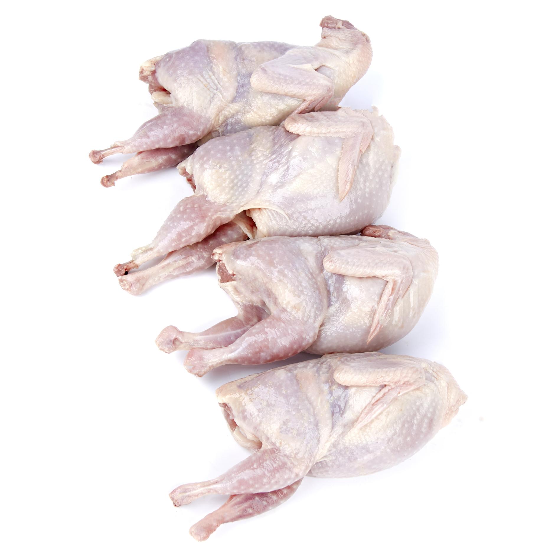 Рябчики разделанная тушка. Куропатка тушка. Куропатка тушка. Куропатка тушка. Мясо перепелов.