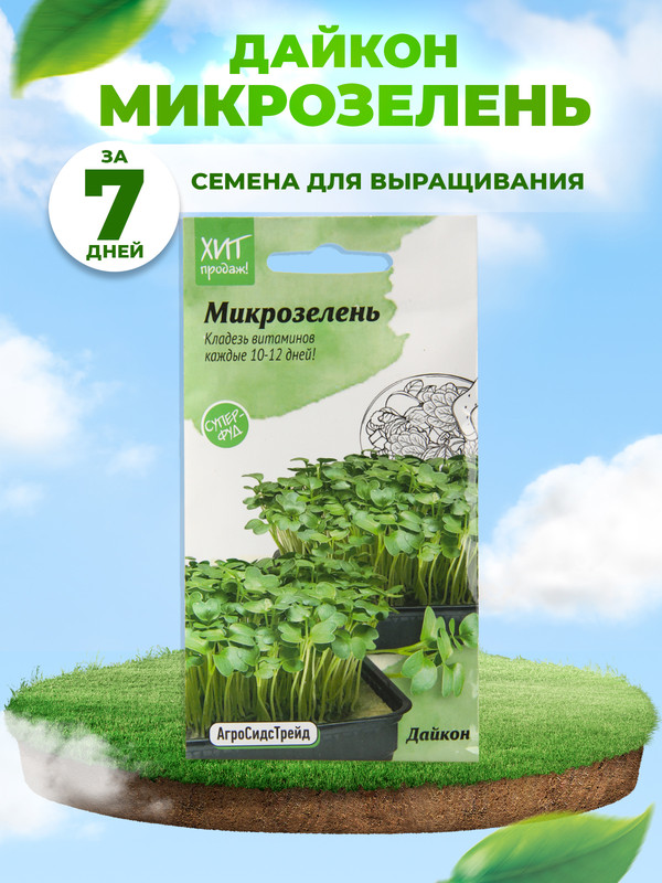 Микрозелень дайкон фото