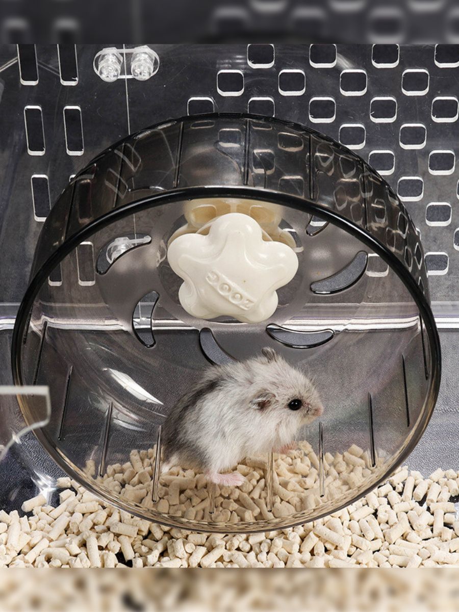 Hamster combat chain cube