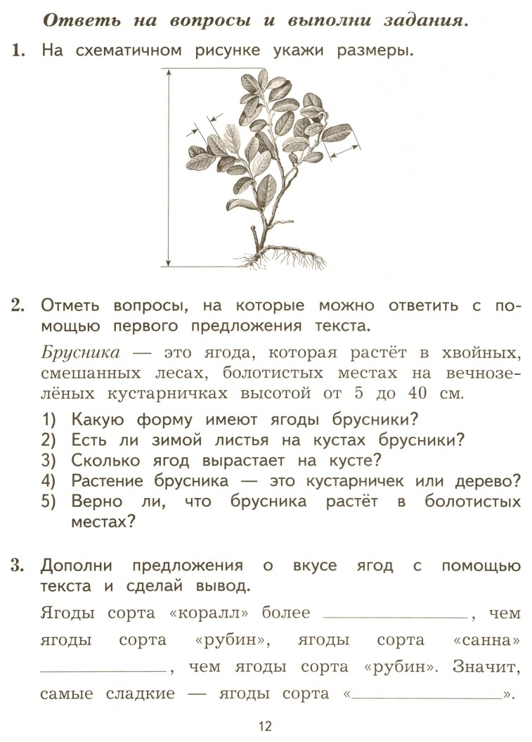 Проверочная работа текст. Работа с текстом комплексная работа для 2 класса. Комплексные работы работа с текстом. Проверочные работы с текстами. Комплексная работа с текстом 2 класс.