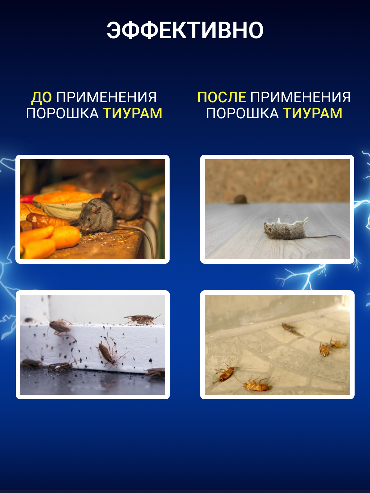 Как использовать тиурам от тараканов в квартире. Как использовать тиурам от тараканов в квартире
