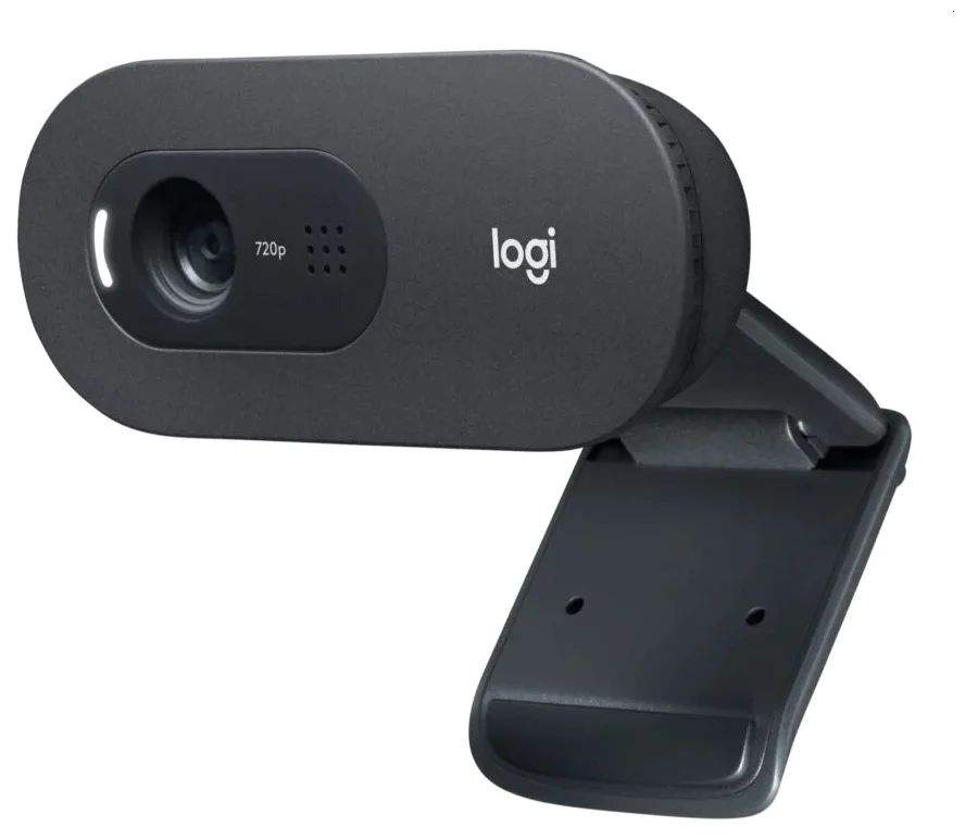 Веб-камера Logitech C505 HD Webcam V-U0018 - характеристики и описание на Мегамаркет | 100055559269