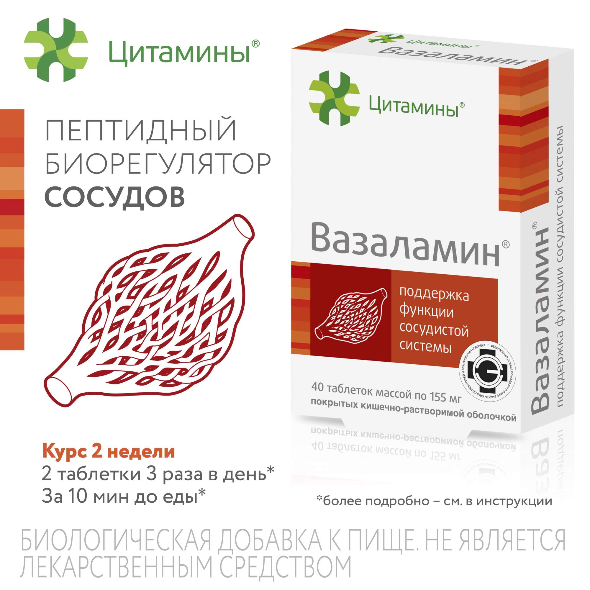 Биологически активная добавка Вазаламин 10 мг таблетки, 40 штук - купить в интернет-магазинах, цены на Мегамаркет | витамины, минералы и пищевые добавки FG000009