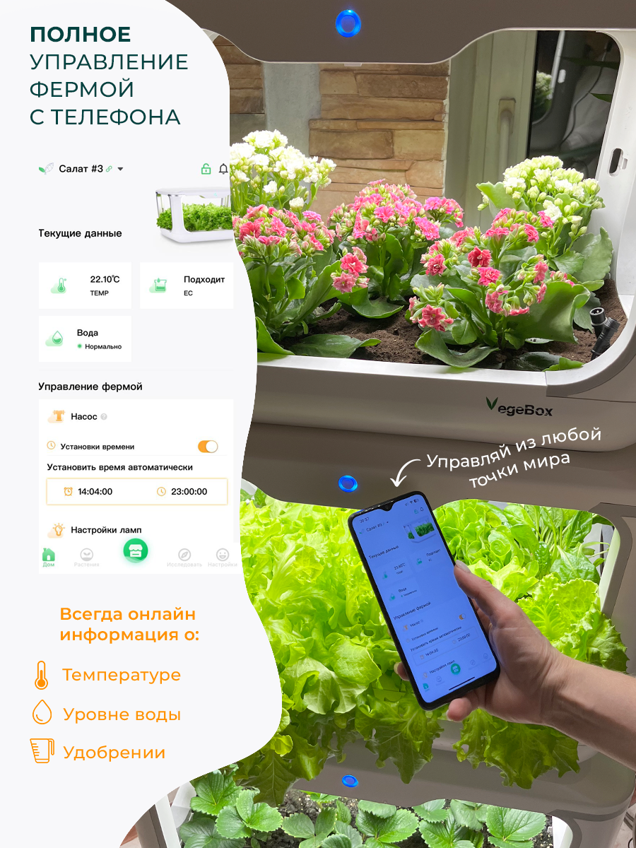 Домашняя cадовая ферма Vegebox L-Box – купить в Москве, цены в  интернет-магазинах на Мегамаркет