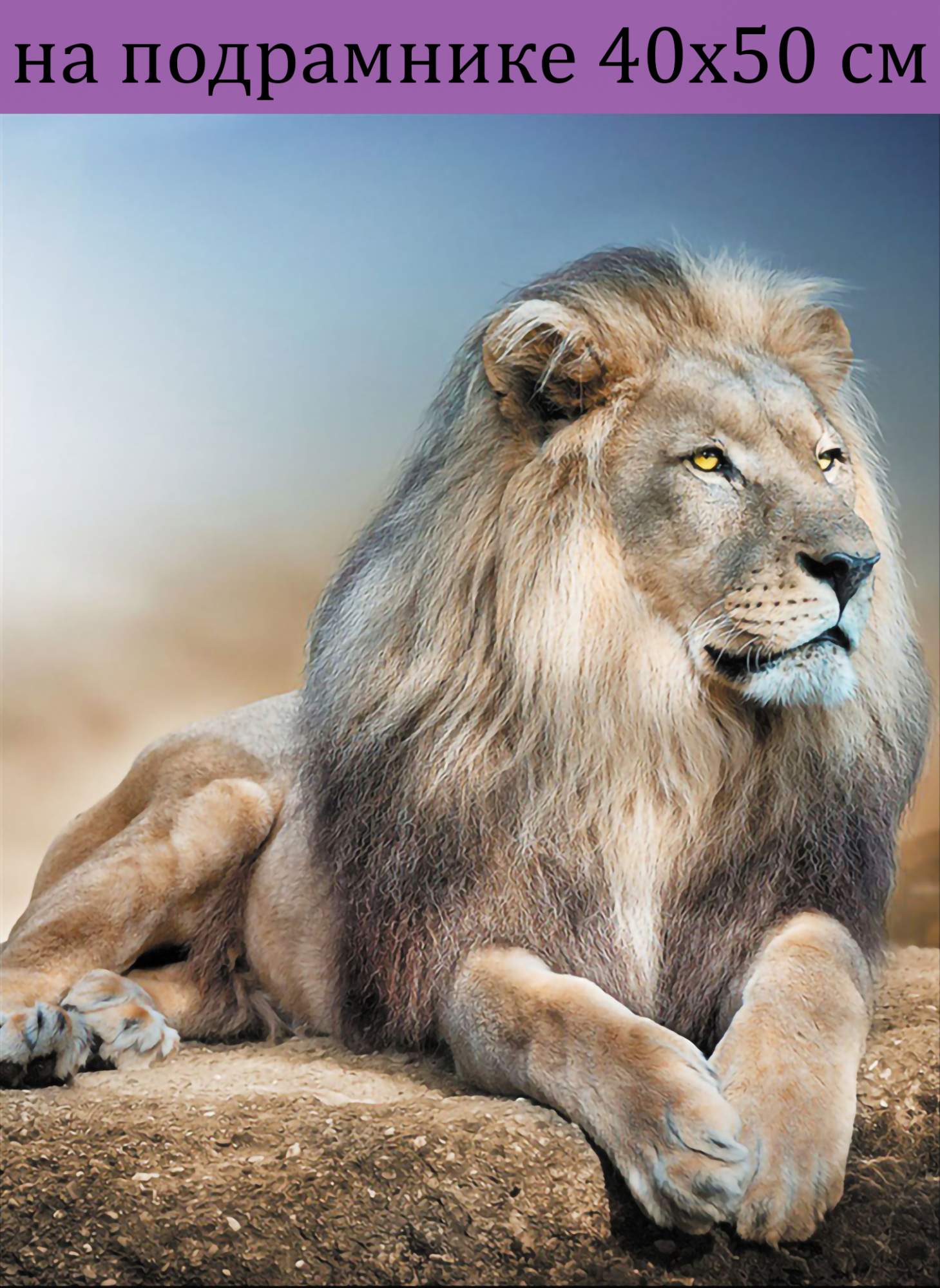 thelordismylightandmysalvation Wild animals pictures, Lion, Lion pictures