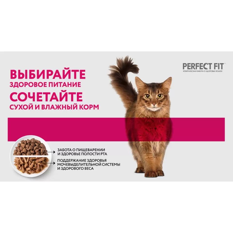 Влажный корм для кошек Perfect Fit Sterile кусочки в соусе, курица, 75г -  отзывы покупателей на маркетплейсе Мегамаркет | Артикул товара:100029273539