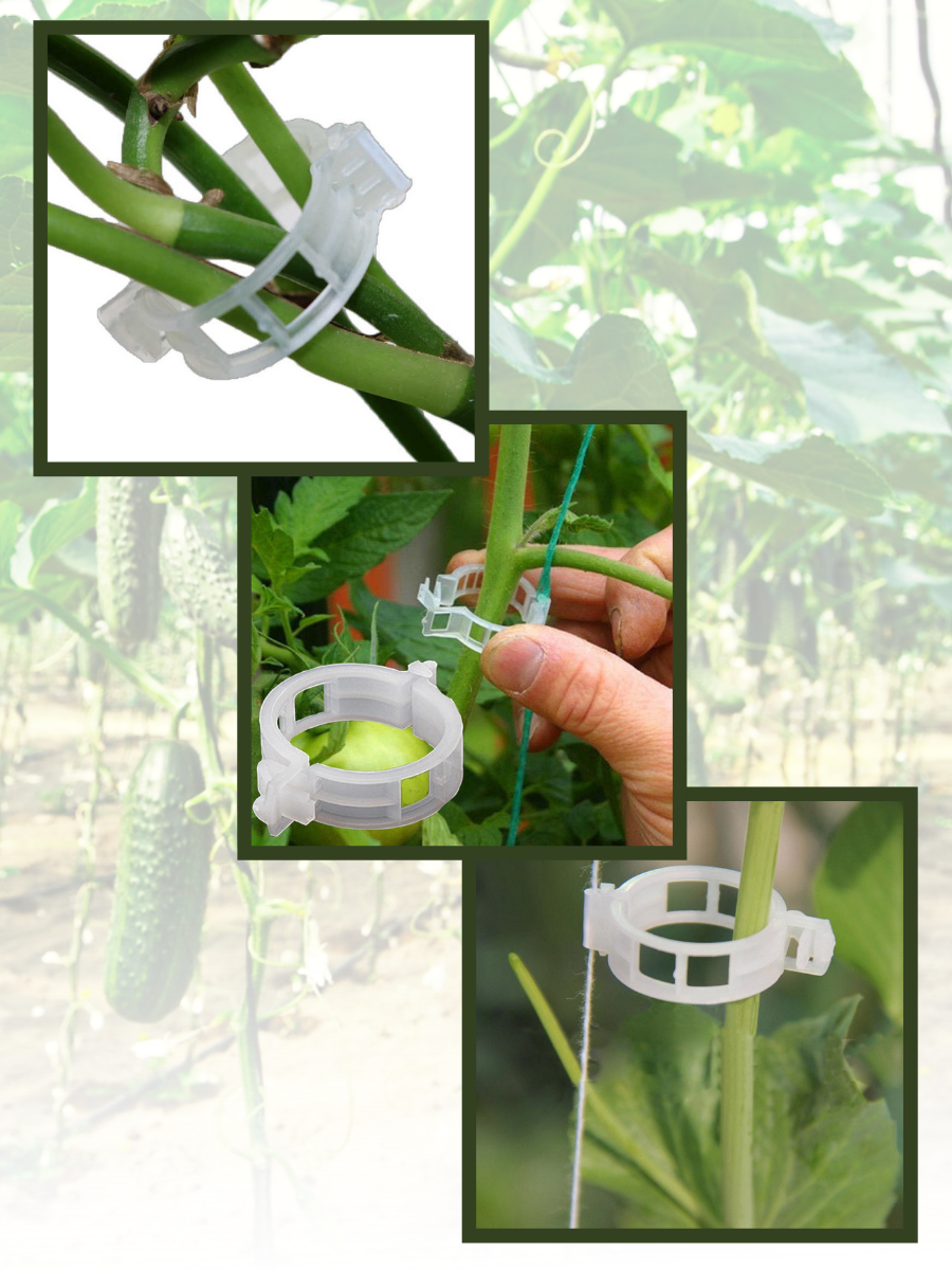 Клипсы для подвязки растений. Подвязки для растений 23см 30шт пластик-хомут sh-6035 (200). Клипса для подвязки растений d10. Клипса для подвязки помидор. Клипсы для подвязки растений и томатов 23 мм.