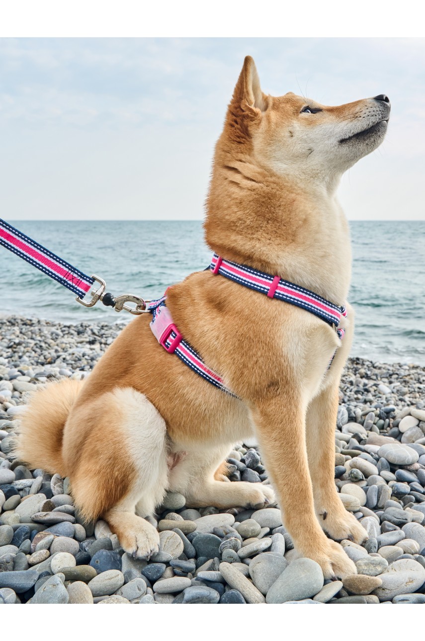 Гипоаллергенная шлейка для собак с функцией распределения нагрузки Индиго, размер S