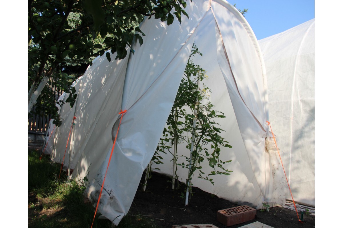 Теплица Огурец Молодец Купить На Озон