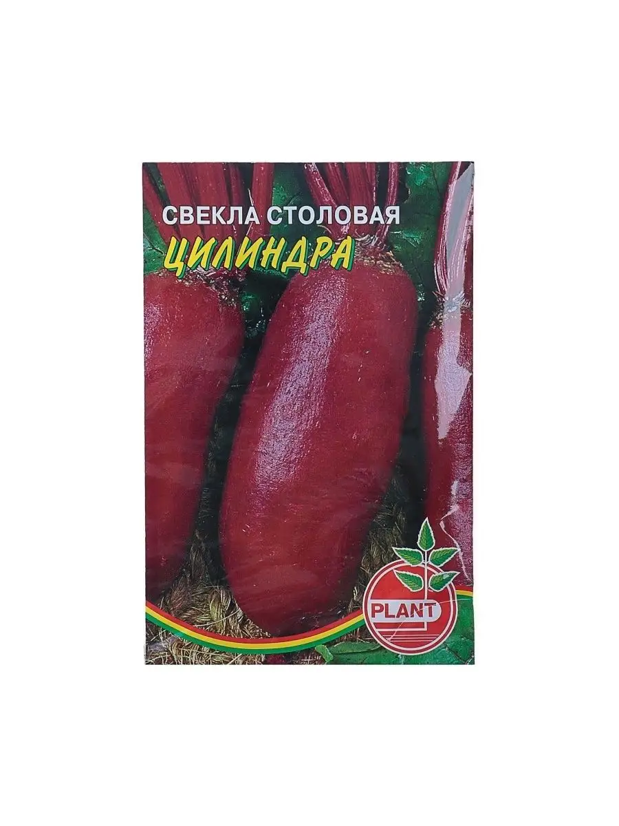 Купить Семена Свеклы Рафинад