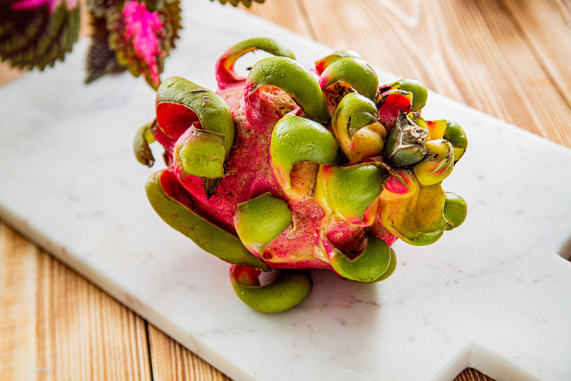 Питахайя Фрукт Фото Цена