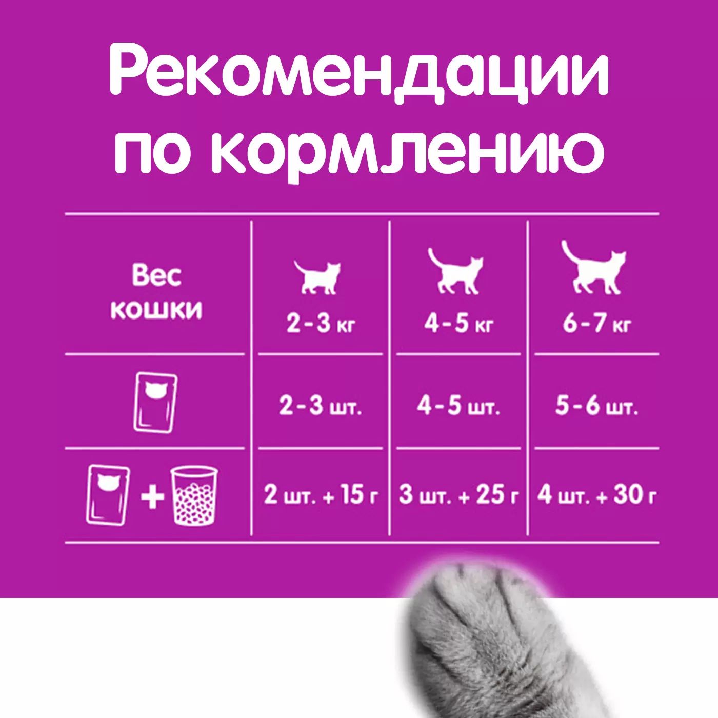 Влажный корм для котят Whiskas паштет, курица, 75г - отзывы покупателей на  маркетплейсе Мегамаркет | Артикул товара:100029273980