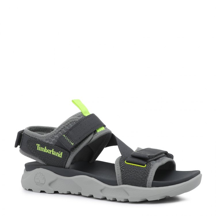 Сандалии мужские Timberland Ripcord 2 Strap Sandal_2516880 серые 41.5 EU