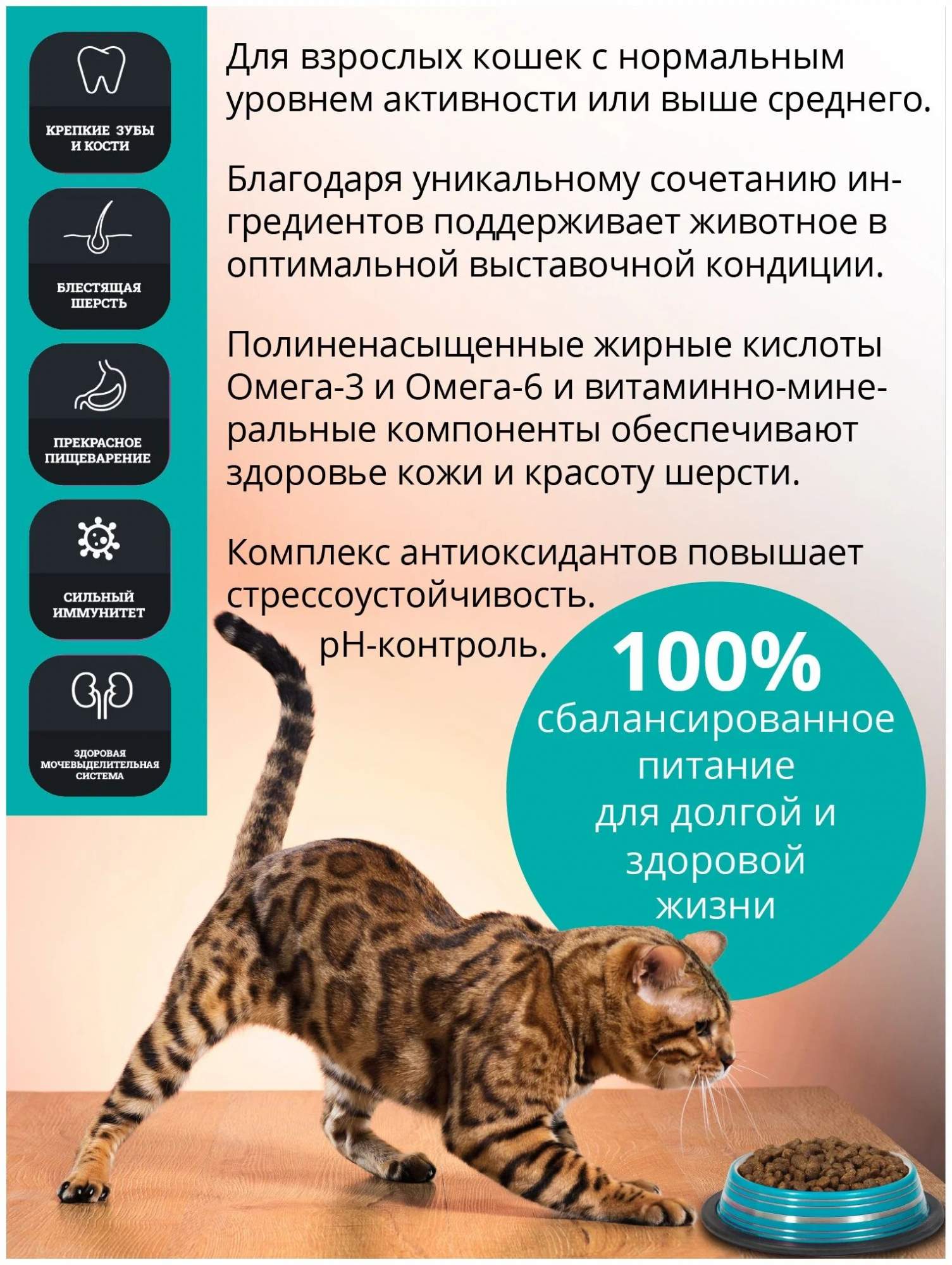 Купить Корм Сухой Для Кошек Gina